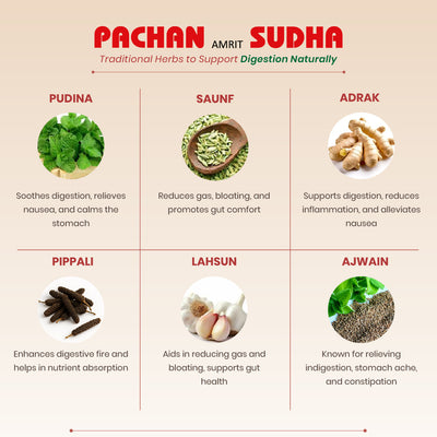 Pachan Amrit Sudha Syrup - Ayurvedic Digestive Tonic