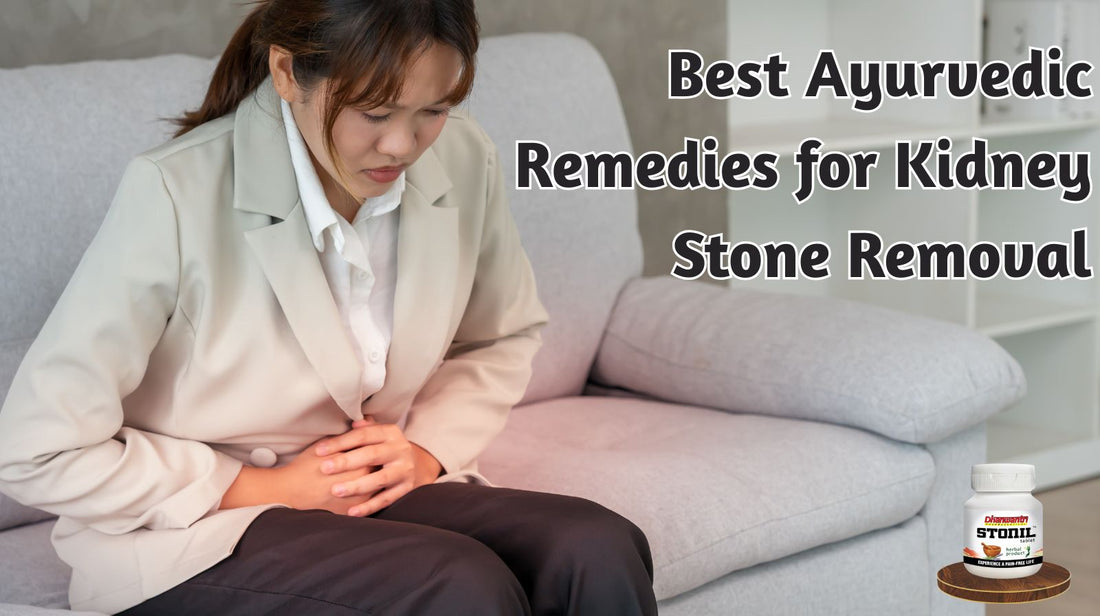 Best Ayurvedic Remedies for Kidney Stone Removal