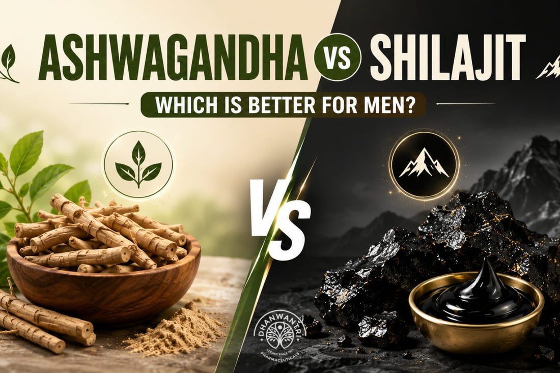 Ashwagandha vs Shilajit: Which Is Better for Men?
