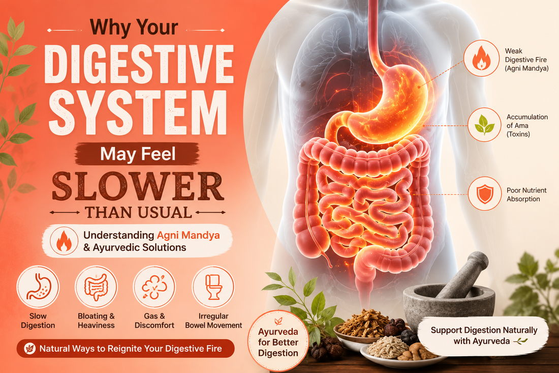 Why Your Digestive System May Feel Slower Than Usual