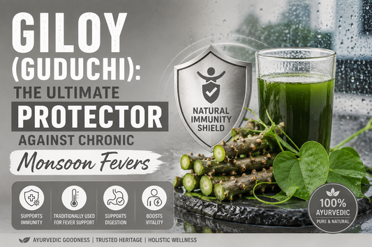 Giloy Guduchi herb immunity booster for chronic monsoon fevers and rainy season wellness in India