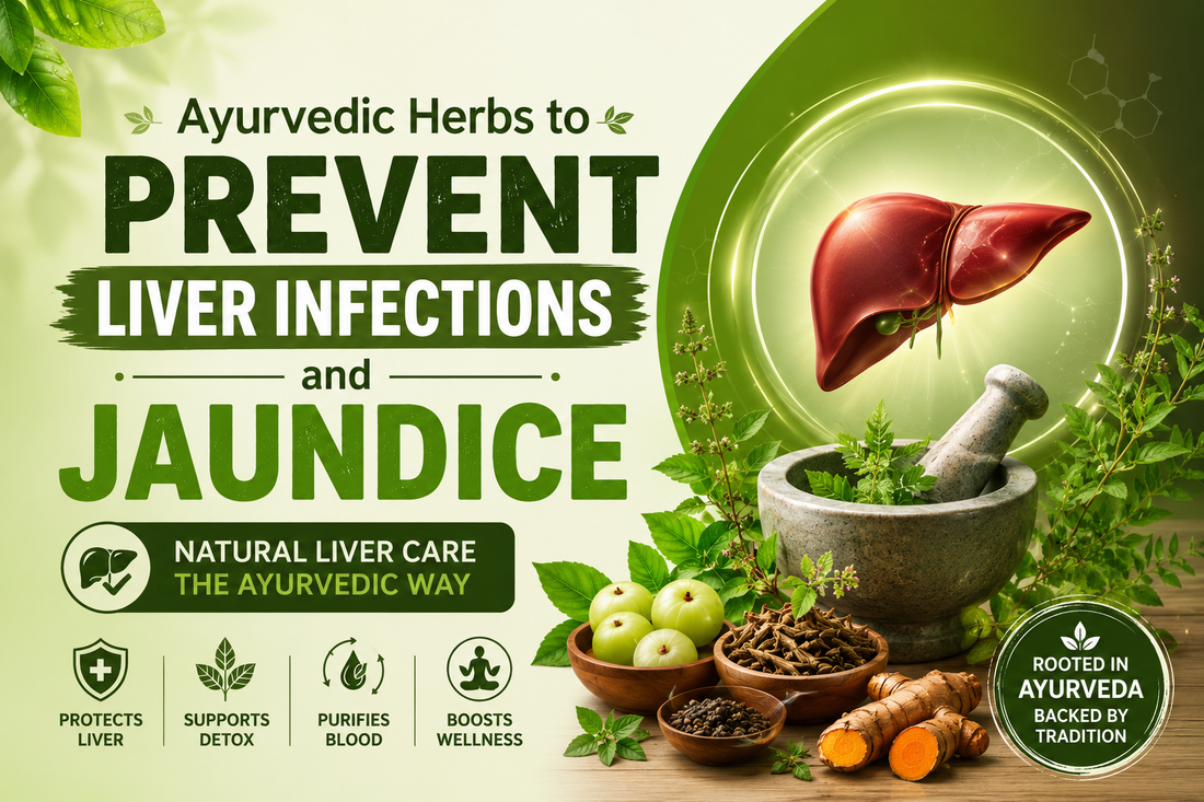 Ayurvedic Herbs to Prevent Liver Infections and Jaundice for liver health and preventing jaundice naturally with Ayurveda in India