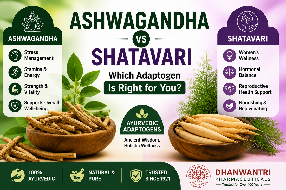 Ashwagandha vs Shatavari benefits comparison showing Ayurvedic adaptogens for women's wellness and vitality