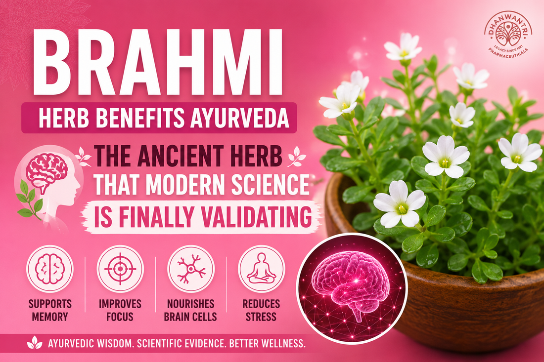 Brahmi herb benefits Ayurveda – Bacopa monnieri for memory, focus, cognitive performance, brain health, and stress support