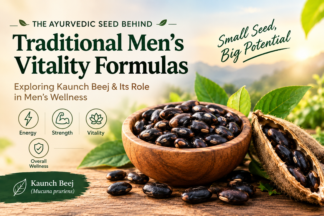 Kaunch Beej Mucuna pruriens Ayurvedic seed for traditional men's vitality
