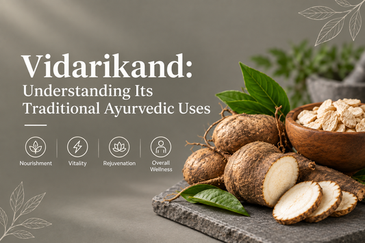 Vidarikand herb traditionally used in Ayurveda for nourishment, vitality, rejuvenation, and overall wellness.