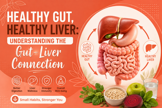 Healthy gut and liver connection showing digestive system, liver health, and balanced wellness.