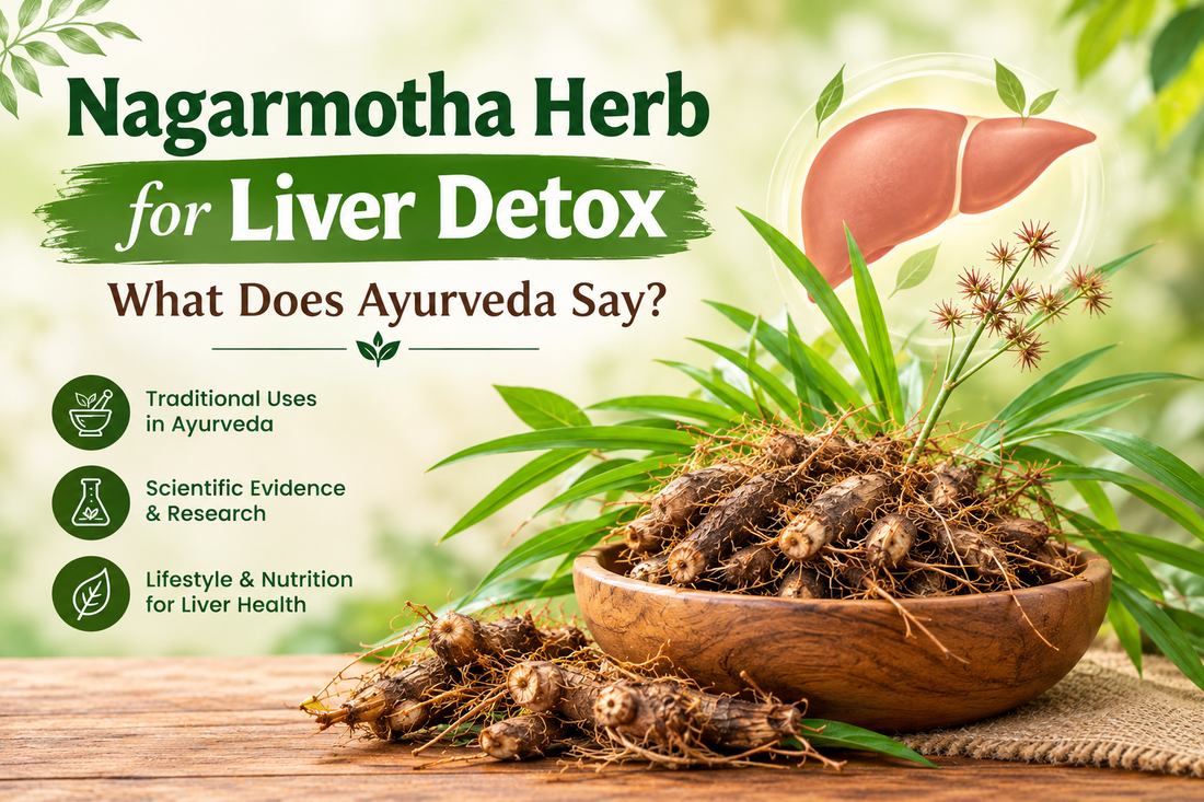 Nagarmotha Herb for Liver Detox: What Does Ayurveda Say?