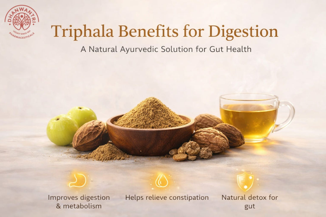 Triphala powder and the three fruits it is made from: Amla, Haritaki, and Bibhitaki, which are used to improve digestion and overall gut health.