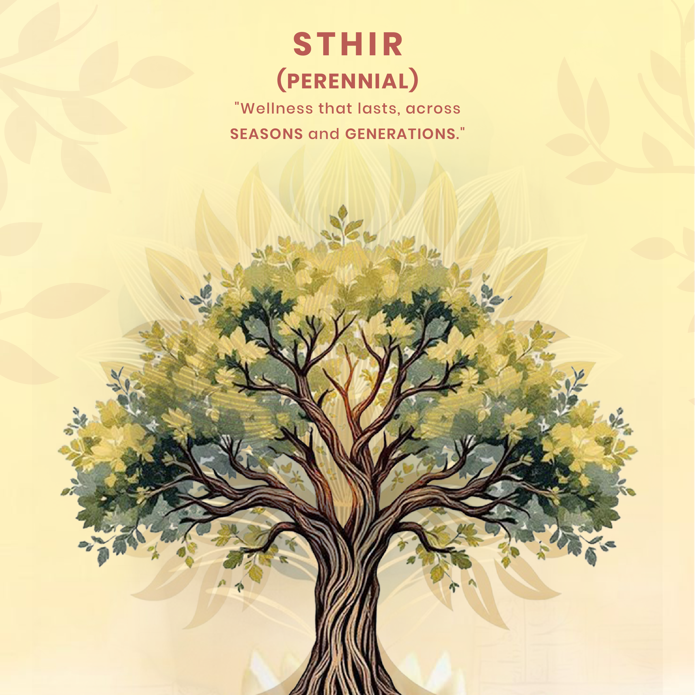 Sthir – Dhanwantri Pharmaceuticals India Pvt. Ltd.