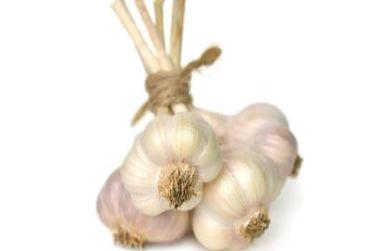 Medicinal Benefits of Garlic (Allium Sativum)