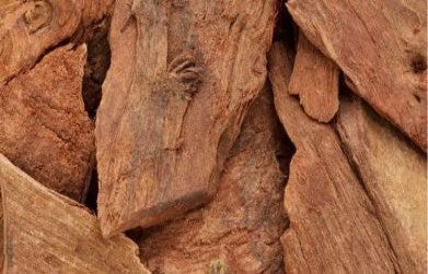 Medicinal Benefits of Arjuna Tree(Terminalia Arjuna)