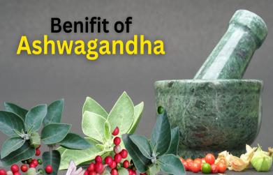 Ashwagandha benefits