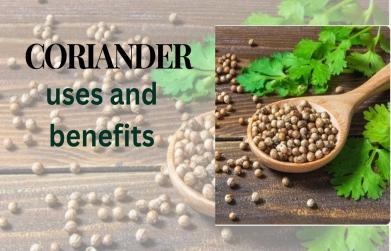 Coriander uses and benefits