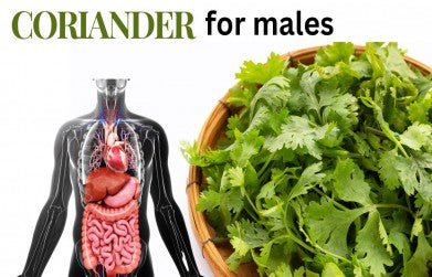 Coriander for males