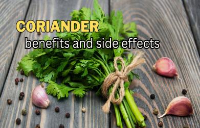 Coriander benefits and side effects