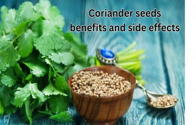 Coriander seeds benefits and side effects