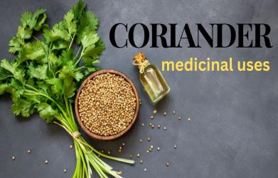 Coriander medicinal uses