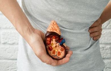Dissolve kidney stone naturally