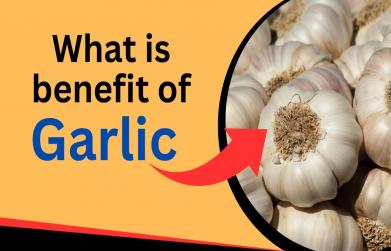 Garlic benefits
