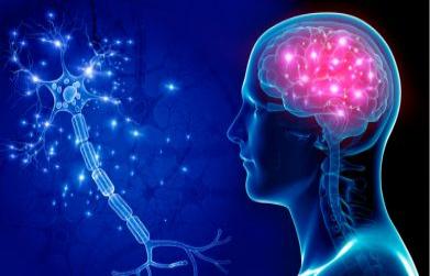 10 Simple Tips to Keep Your Brain Healthy with Swarn Madhu Brain Tonic