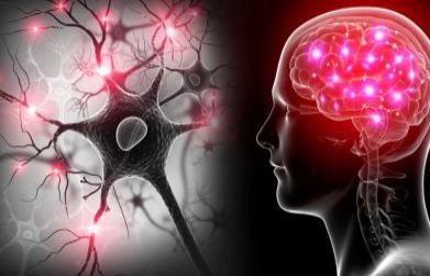 How do you normalize your nervous system?