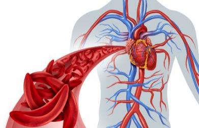 How to boost your circulation