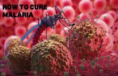 How to cure Malaria Faster