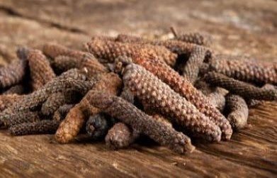 Medicinal Benefits of Pippali (Piper Longum)