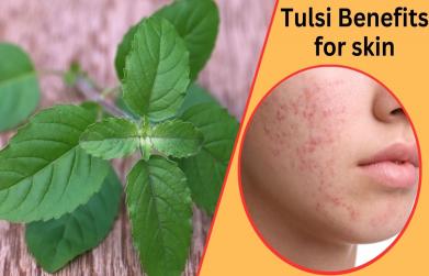 Tulsi benefits for skin