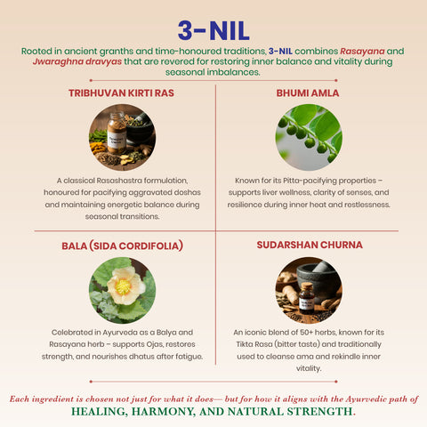 3Nil Tablets - Ayurvedic Seasonal Wellness Tablets