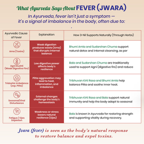 3Nil Tablets - Ayurvedic Seasonal Wellness Tablets
