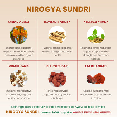 Nirogya Sundri Powder – Women’s Wellness Support