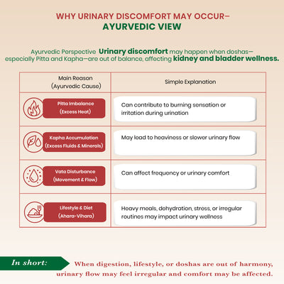 Stonil Tablets - Ayurvedic Urinary Wellness Tablets