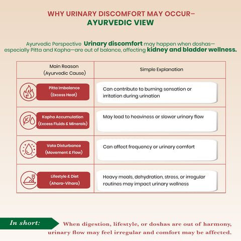 Stonil Tablets - Ayurvedic Urinary Wellness Tablets