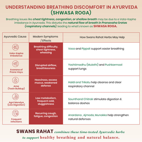 Swans Rahat Powder – Ayurvedic Respiratory Wellness Support