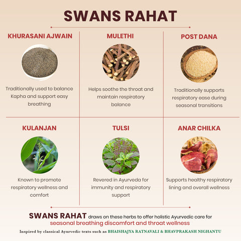 Swans Rahat Powder – Ayurvedic Respiratory Wellness Support