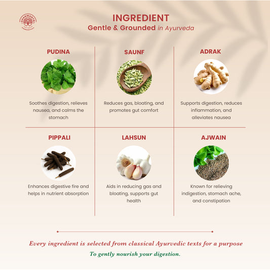 Pachan Amrit Sudha Digestive Tonic