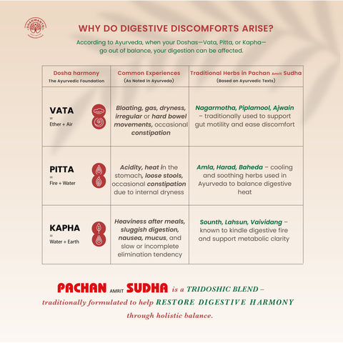 Pachan Amrit Sudha Digestive Tonic