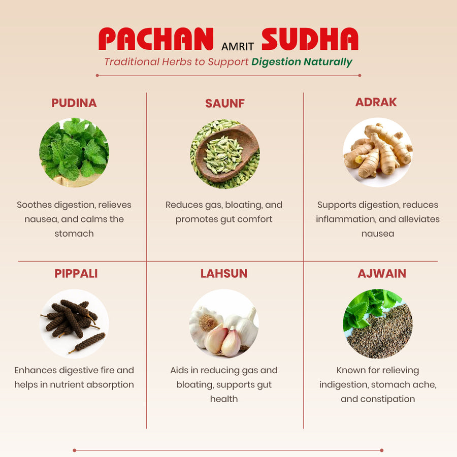 Pachan Amrit Sudha Syrup - Ayurvedic Digestive Tonic