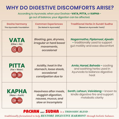 Pachan Amrit Sudha Syrup - Ayurvedic Digestive Tonic