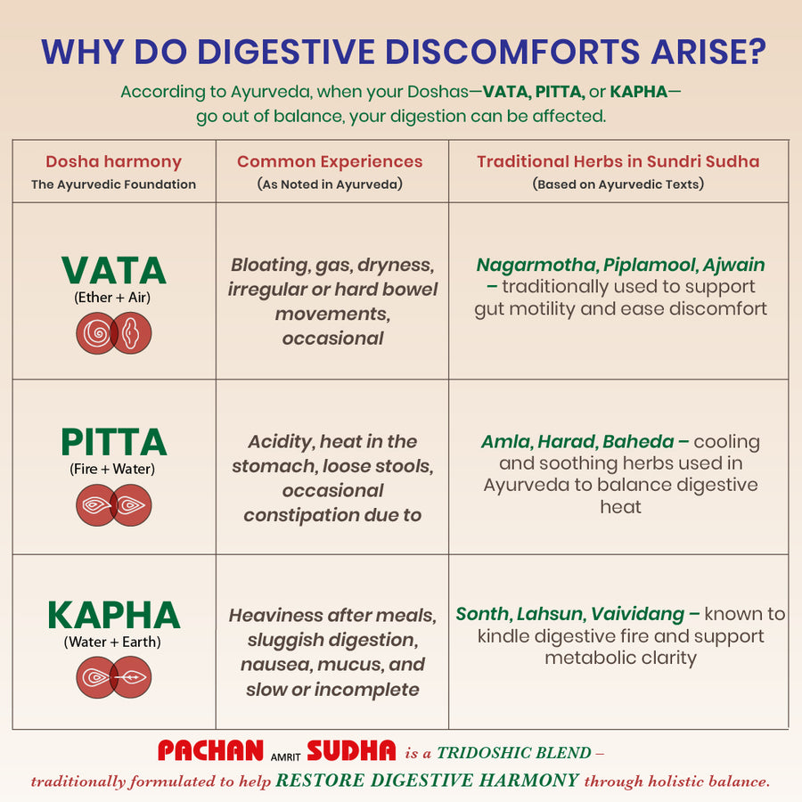 Pachan Amrit Sudha Syrup - Ayurvedic Digestive Tonic