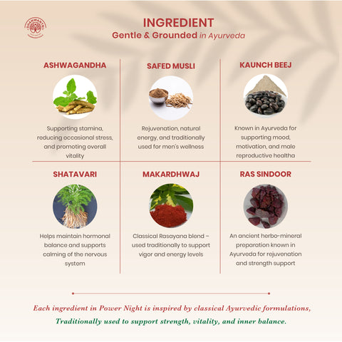 Power Night Ayurvedic Tablets