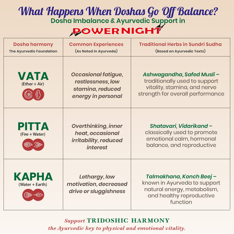 Power Night Tablets - Ayurvedic Men’s Vitality Tablets