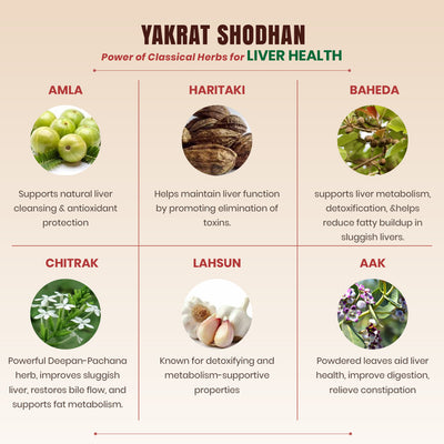 Yakrat Shodhan Syrup - Ayurvedic Liver Wellness Tonic