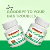 Dhanwantri Pharmaceutical, Gas Nivaran, Gastric issue, StomachAche