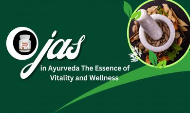 Ojas in Ayurveda The Essence of Vitality and Wellness